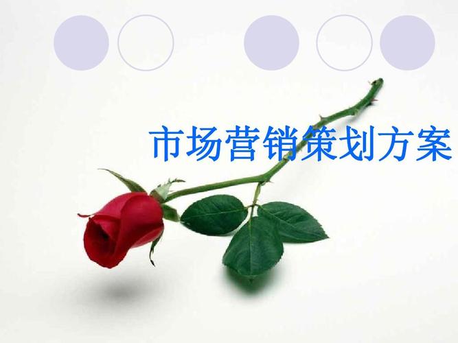 黑弧奧美提案 超市商品分類、旅游市場(chǎng)營(yíng)銷與企業(yè)形象策劃整合方案